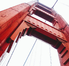 webdesignessences - 1. step, getting the shape, color, ... from nature