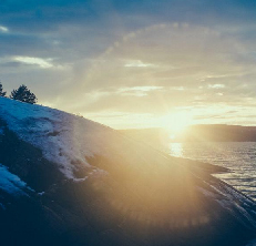 webdesignessences - 1. step, getting the shape, color, ... from nature